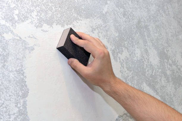 Best Airborne Mold Testing  in Richmond Heights, FL