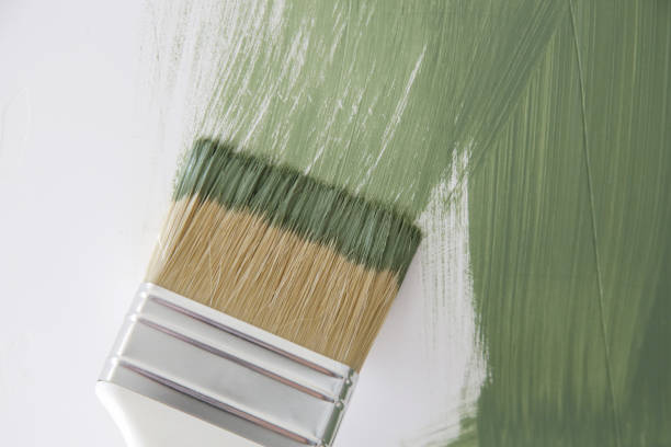 Best Dehumidification Services  in Richmond Heights, FL