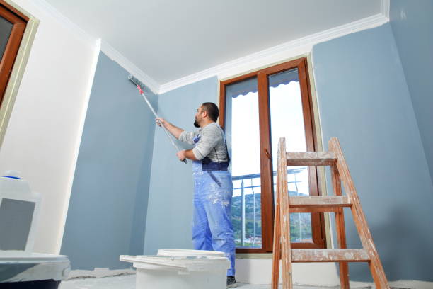 Best Attic Mold Removal  in Richmond Heights, FL