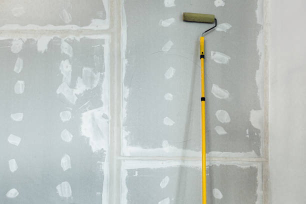 Best Mold Remediation for Rental Properties  in Richmond Heights, FL