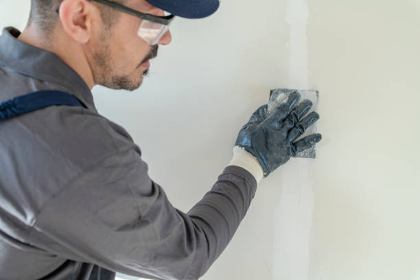 Best Emergency Mold Remediation  in Richmond Heights, FL