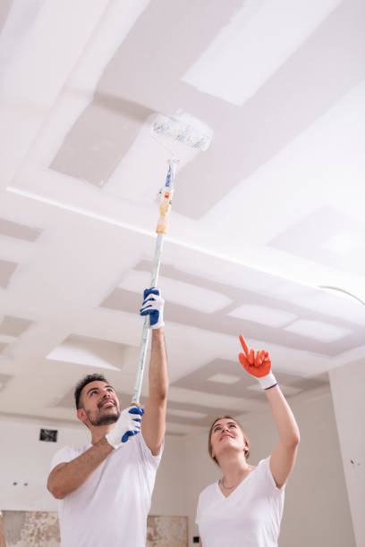 Best Residential Mold Inspection & Testing  in Richmond Heights, FL