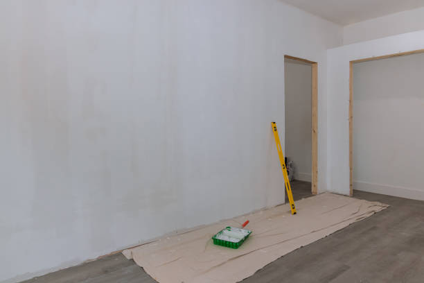 Best Asbestos and Lead Testing During Mold Inspection  in Richmond Heights, FL