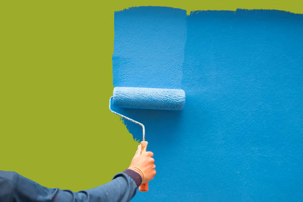 Best Mold Damage Restoration  in Richmond Heights, FL