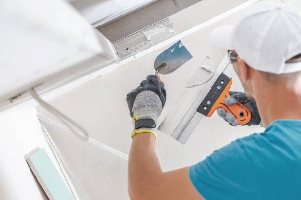 Best Commercial Mold Inspection  in Richmond Heights, FL